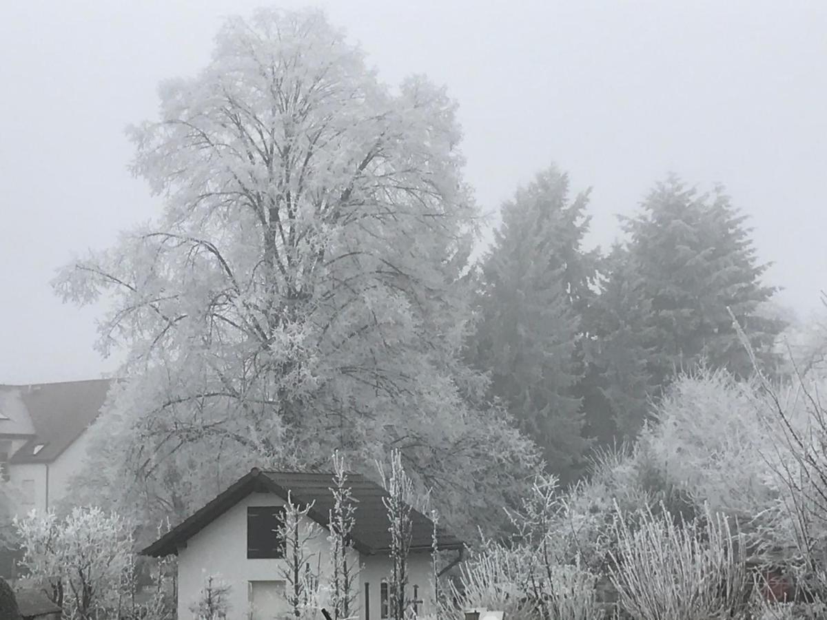 Ferienwohnungen Beckendorf Schiller Losheim Exterior foto